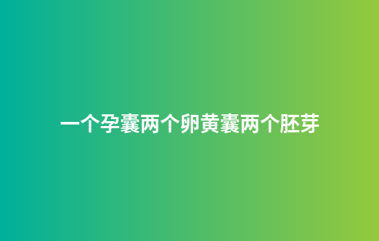 一个孕囊两个卵黄囊两个胚芽