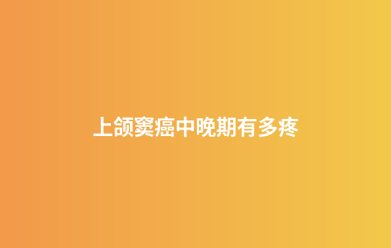 上颌窦癌中晚期有多疼
