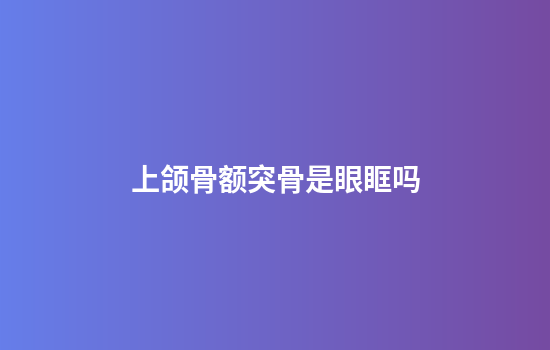 上颌骨额突骨是眼眶吗