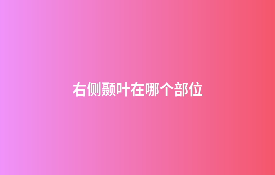 右侧颞叶在哪个部位
