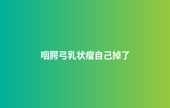 咽腭弓乳状瘤自己掉了