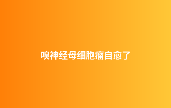 嗅神经母细胞瘤自愈了