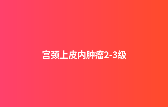 宫颈上皮内肿瘤2-3级