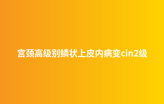 宫颈高级别鳞状上皮内病变cin2级