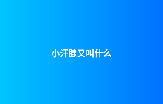 小汗腺又叫什么