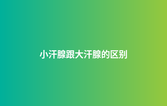 小汗腺跟大汗腺的区别