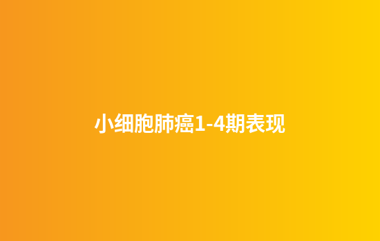 小细胞肺癌1-4期表现