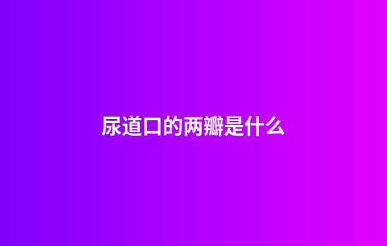 尿道口的两瓣是什么