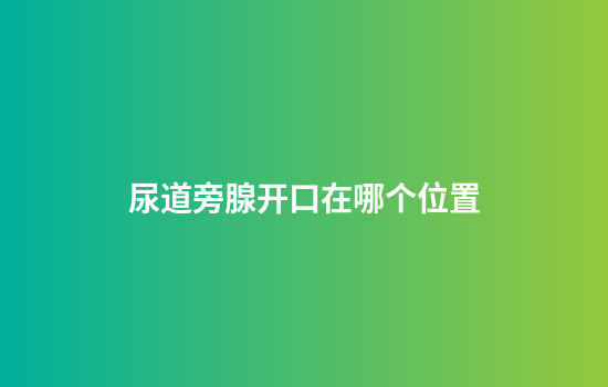 尿道旁腺开口在哪个位置