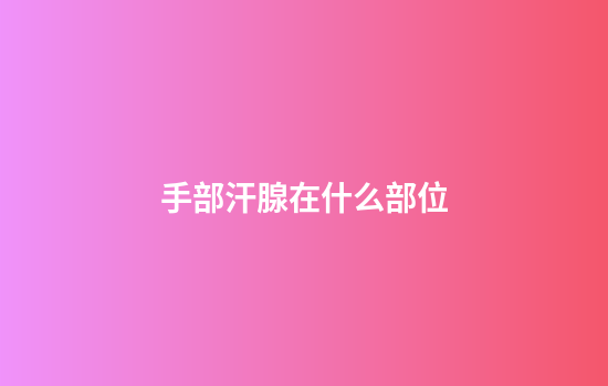 手部汗腺在什么部位