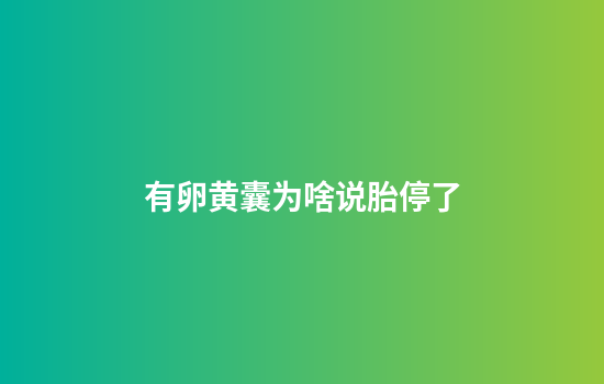 有卵黄囊为啥说胎停了