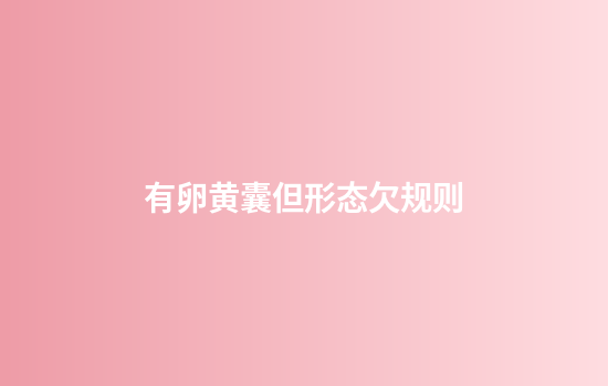 有卵黄囊但形态欠规则