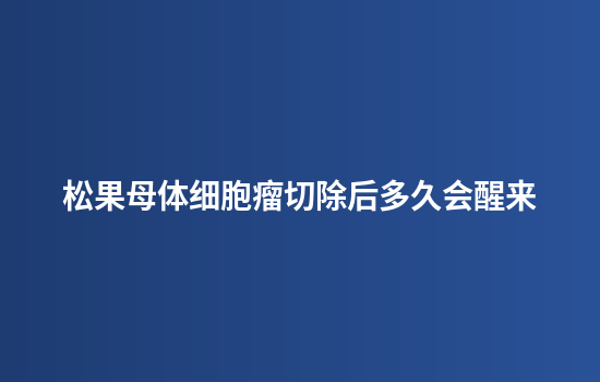 松果母体细胞瘤切除后多久会醒来