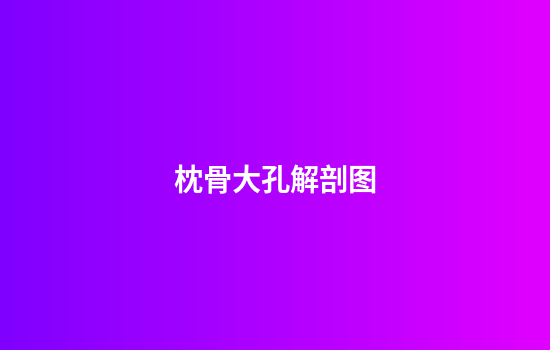 枕骨大孔解剖图