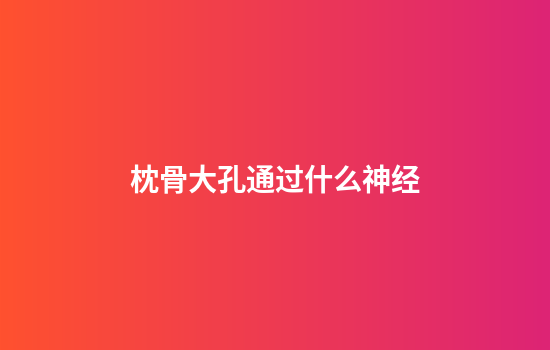枕骨大孔通过什么神经