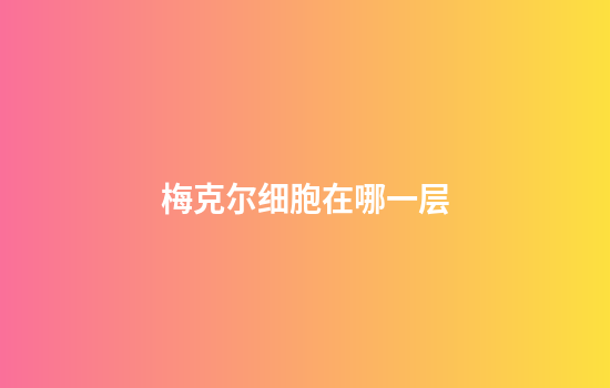 梅克尔细胞在哪一层
