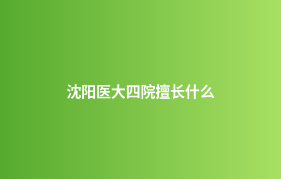沈阳医大四院擅长什么
