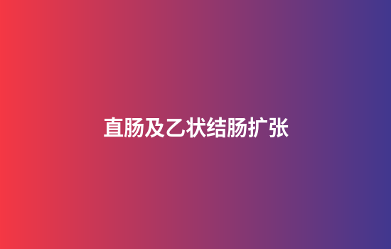 直肠及乙状结肠扩张