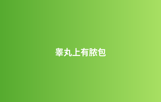 睾丸上有脓包