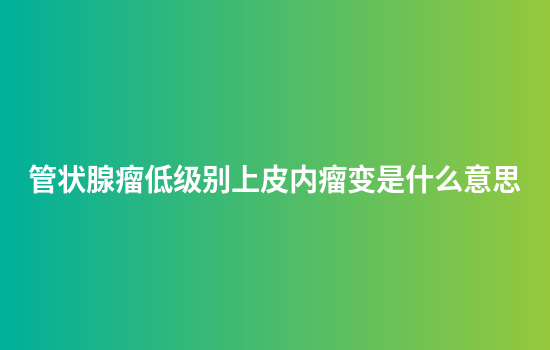 管状腺瘤低级别上皮内瘤变是什么意思