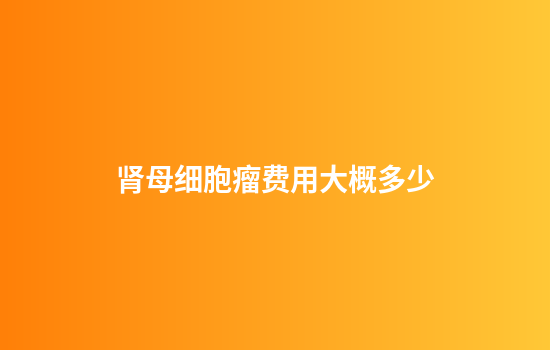肾母细胞瘤费用大概多少