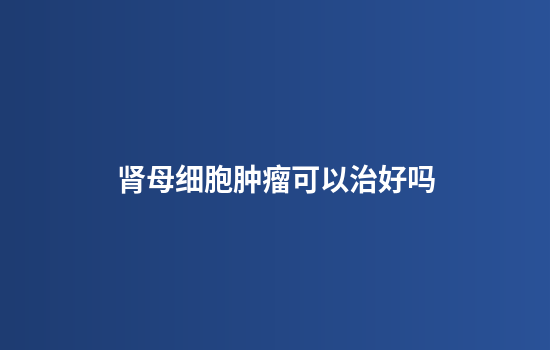 肾母细胞肿瘤可以治好吗