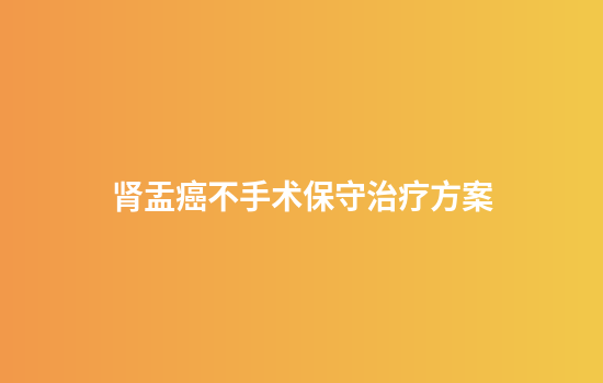 肾盂癌不手术保守治疗方案