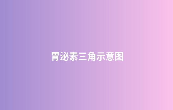 胃泌素三角示意图