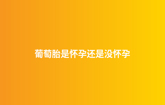 葡萄胎是怀孕还是没怀孕
