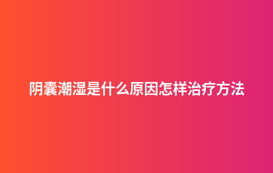阴囊潮湿是什么原因怎样治疗方法