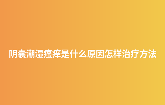 阴囊潮湿瘙痒是什么原因怎样治疗方法