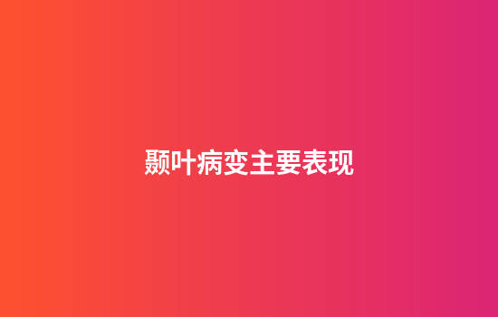 颞叶病变主要表现