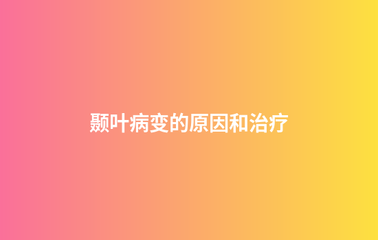 颞叶病变的原因和治疗