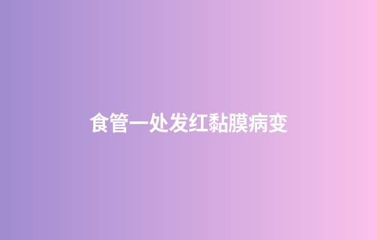 食管一处发红黏膜病变
