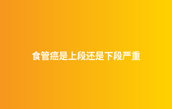 食管癌是上段还是下段严重