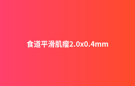 食道平滑肌瘤2.0x0.4mm