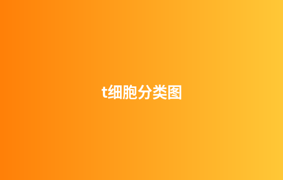 t细胞分类图